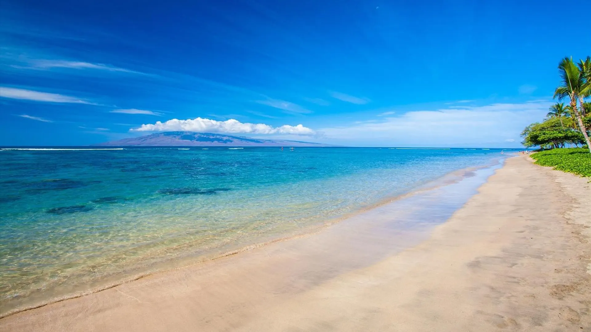 Kaanapali Beachs Best Kept Secret - Sea Shells Beach House Ndash Sleeps 6 度假居
