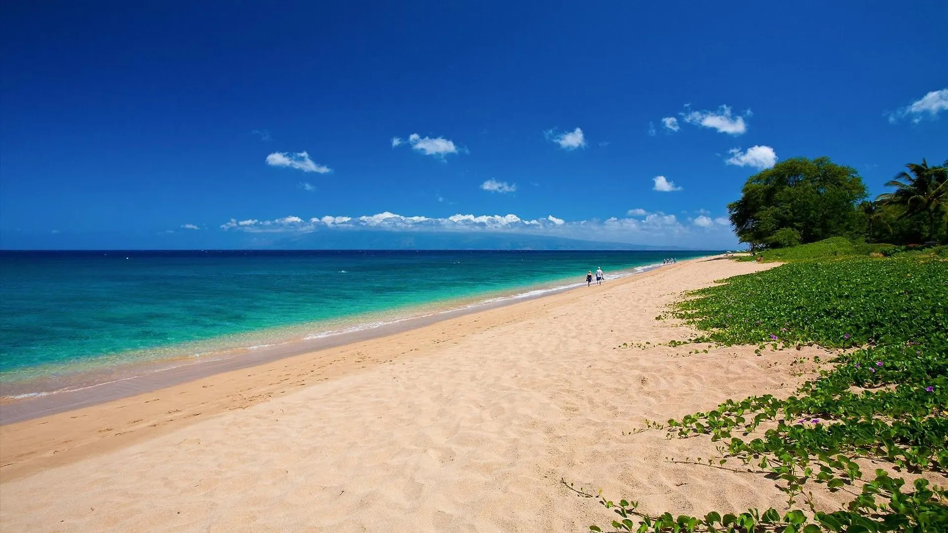 Kaanapali Beachs Best Kept Secret - Sea Shells Beach House Ndash Sleeps 6 0*,